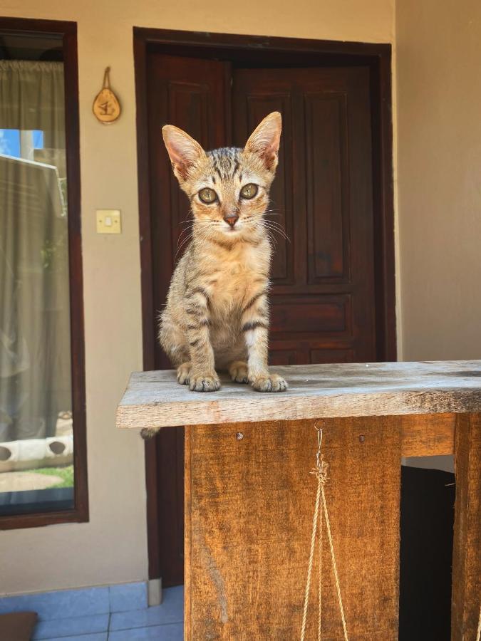 Jimador'S Homestay Gili Trawangan Eksteriør billede